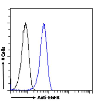 Anti-EGFR [2F8 (Zalutumumab; HuMax-EGFR)]