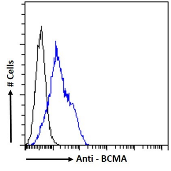 Anti-BCMA [CA8]
