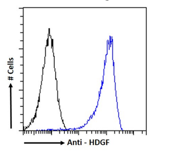 Anti-HDGF [H3]
