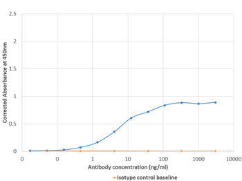 Anti-Cytomegalovirus (CMV) gH glycoprotein [MSL-109]