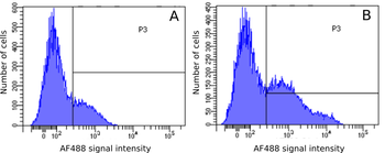 Anti-CD11c [OX-42]