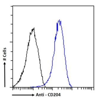 Anti-CD204 [2F8 (recombinant version)]