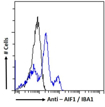 Anti-AIF1 [GT1-mAb1]