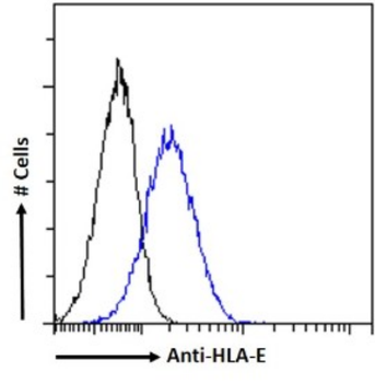 Anti-HLA-E [3D12]