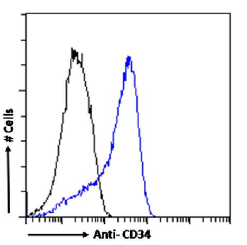 Anti-CD34 [QBEND/10]