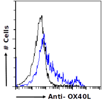 Anti-OX40L [R4930 (Oxelumab)]