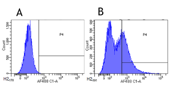 Anti-CD34 [My10]