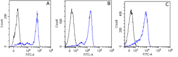 Anti-Alpha-Tubulin [F2C]