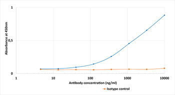 Anti-Rhodopsin [Rho 1D4]