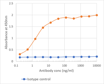 Anti-CD27 [LG.3A10]