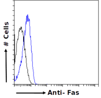 Anti-Fas [R-125224]