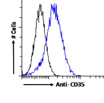 Anti-CD35 [HB-8592]