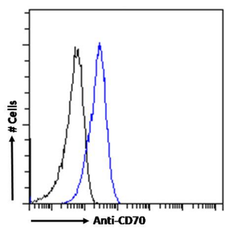 Anti-CD70 [TAN1-6]