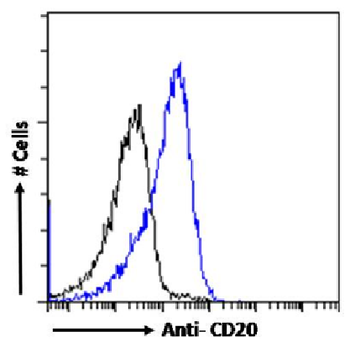Anti-CD20 [18B12]