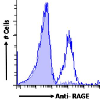 Anti-RAGE [2A11]