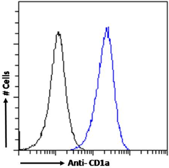 Anti-CD1a [CBT6]