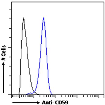 Anti-CD59 [193-27]