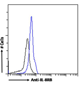 Anti-IL-8RB [HC2]