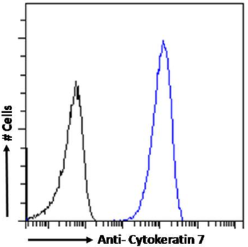 Anti-Cytokeratin 7 [OV-TL 12/30]