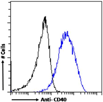 Anti-CD40 [chi220]