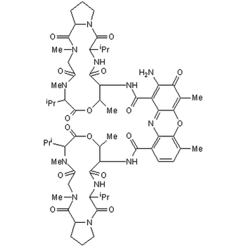 Actinomycin D