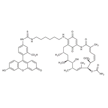 Geldanamycin: FITC
