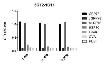 GRP78 Antibody (PerCP)
