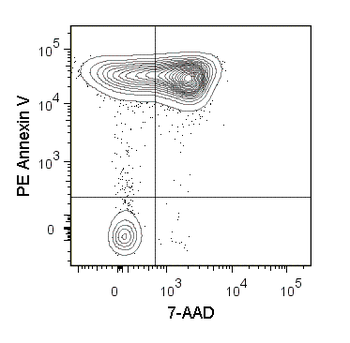 PE Annexin V Apoptosis Detection Kit with 7-AAD