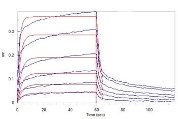 Mouse IFN-alpha / beta R2 Protein