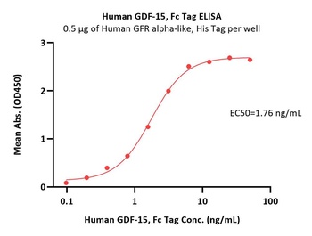 Human GDF-15 / MIC-1 Protein