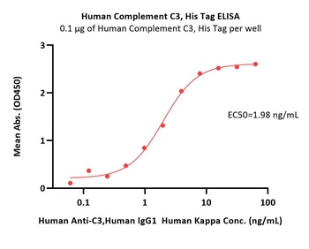 Human Complement C3 Protein