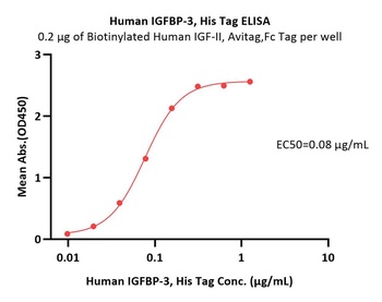 Human IGFBP-3 Protein