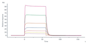 Human IL-20 R alpha Protein, Fc Tag