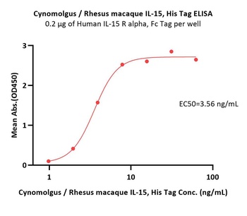 Cynomolgus / Rhesus macaque IL-15 Protein, His Tag