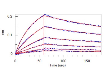 Human IFN-alpha 1 Protein