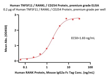 Human TNFSF11 / RANKL / CD254 Protein