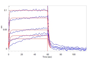 Human IL-3 R Beta / CD131 Protein