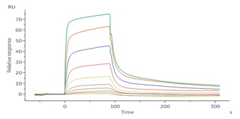 Human IL-18 R1 Protein, His-Avi Tag (Biotin)