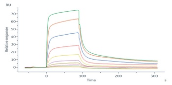 Biotinylated Human IL-18 R1 / CD218a Protein