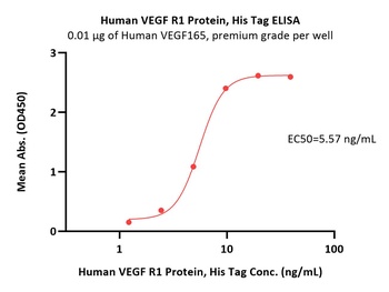 Human VEGF R1 / Flt-1 Protein