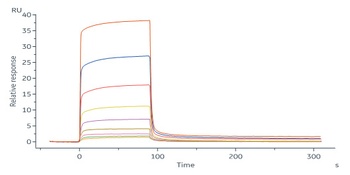 Human IL-20 R alpha Protein