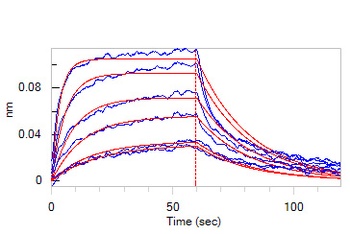 Human IL-22 R alpha 1 Protein