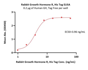 Rabbit Growth Hormone R (GHR) Protein