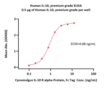 Human IL-10 Protein