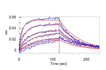 Cynomolgus IL-13 R alpha 1 Protein, His Tag
