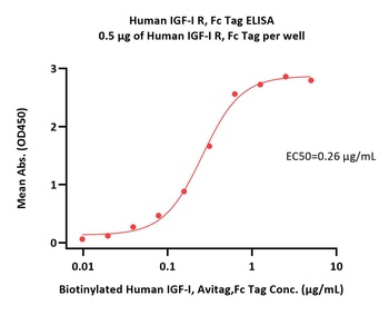 Human IGF-I R / CD221 Protein, Fc Tag