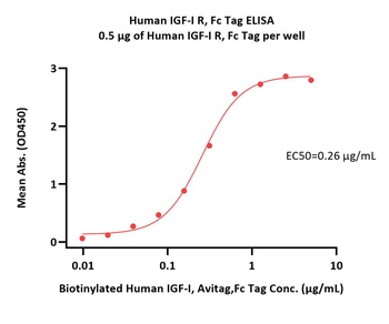 Human IGF-I R Protein, Fc Tag