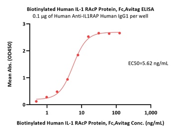 Biotinylated Human IL-1 RAcP / IL-1 R3 Protein