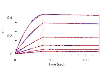 Cynomolgus IL-10 R alpha Protein, Fc Tag