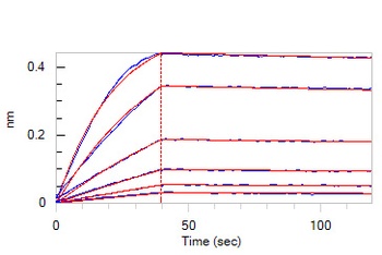 Cynomolgus IL-10 R alpha / CD210 Protein